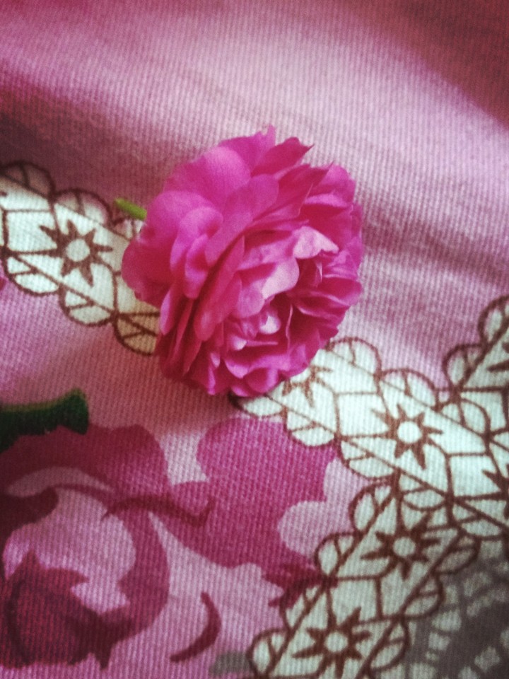 pink beauty
