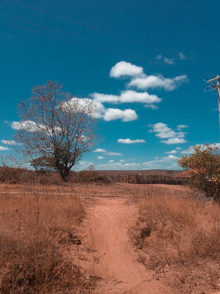 Na estrada de um município de Canindé, Ceará.