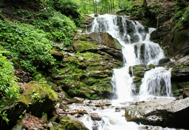 Charming waterfall