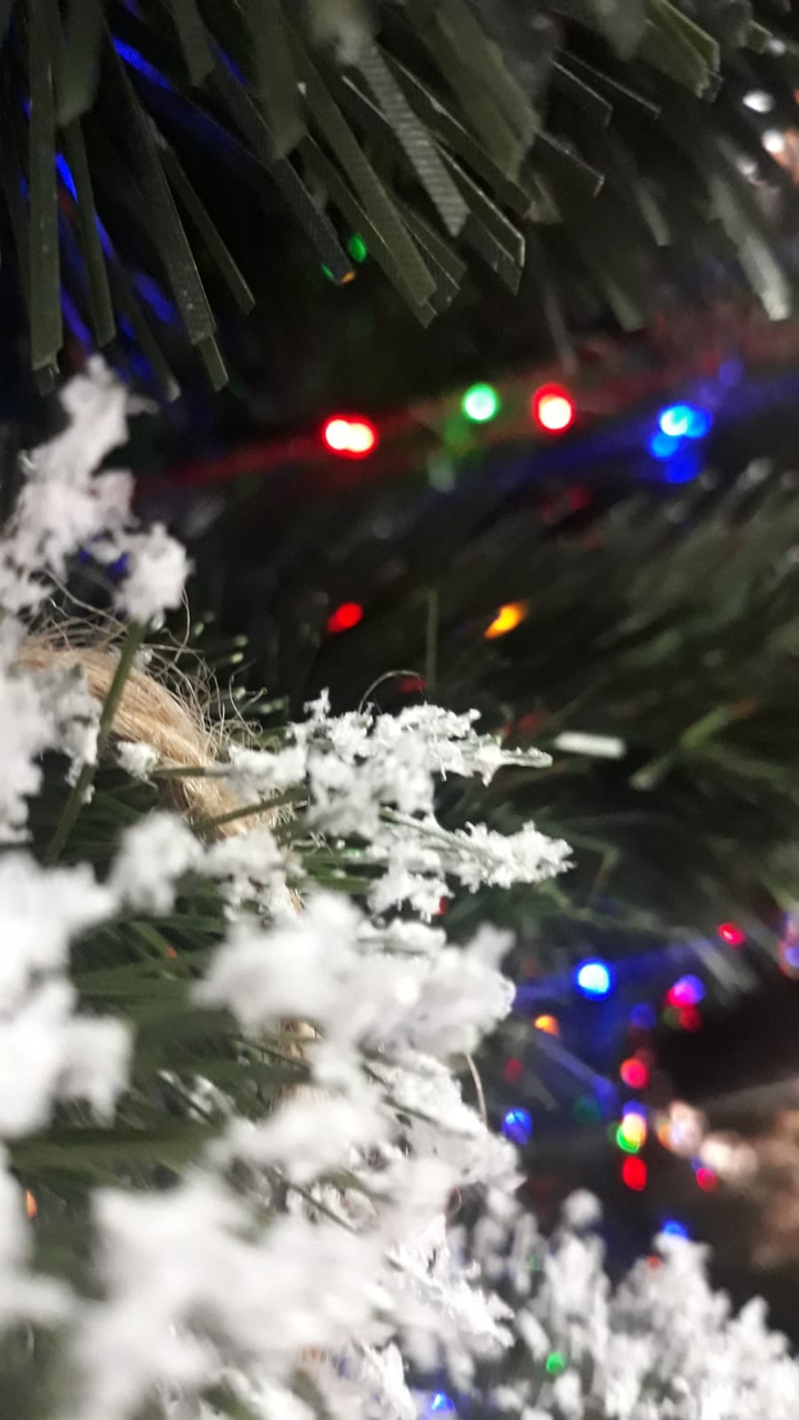 Christmas