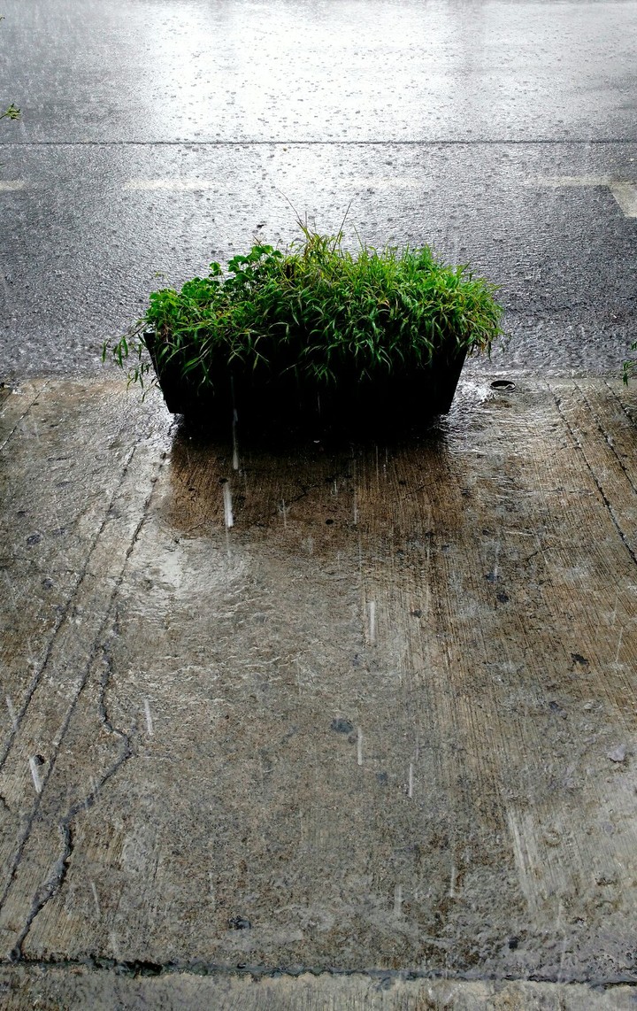 Of the Rain.