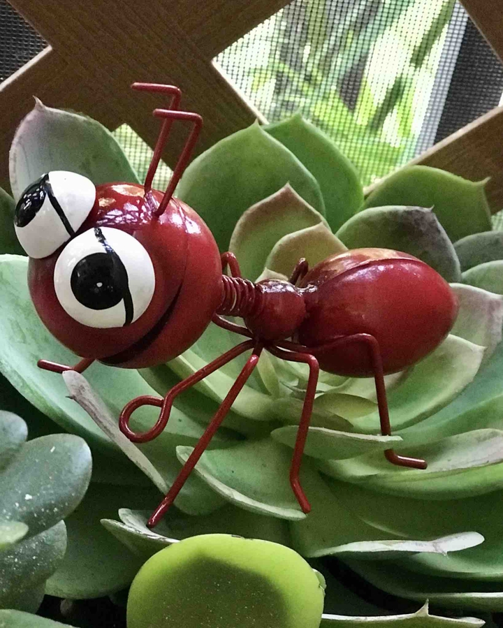 Ant