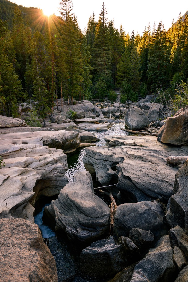nature