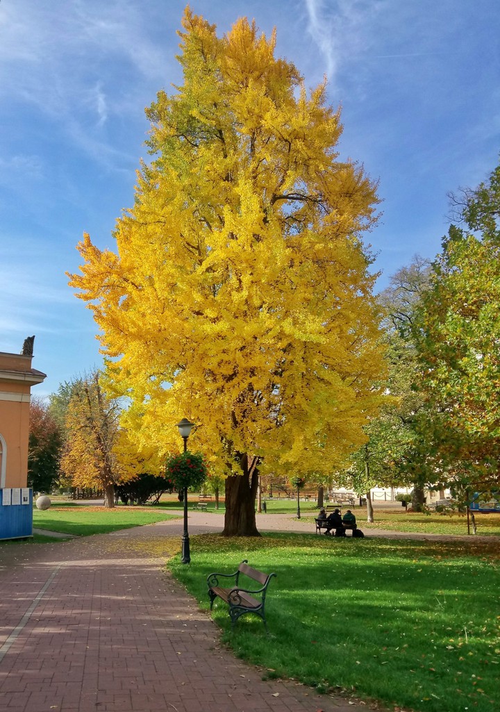 autumn