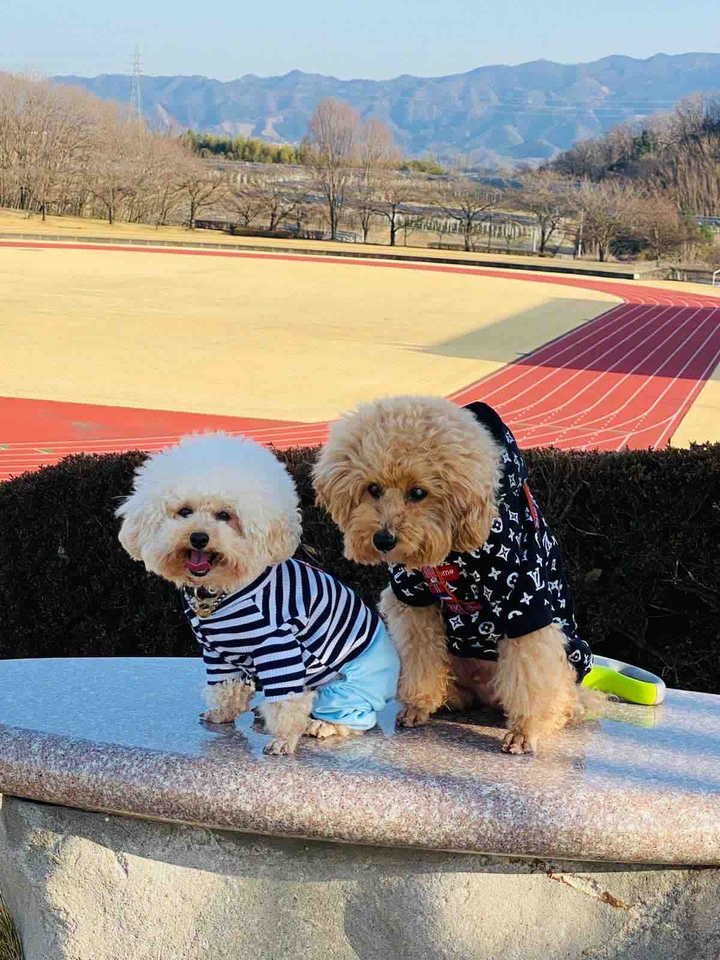 Lucky & Money