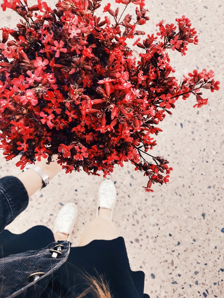 Bunch of flowers
