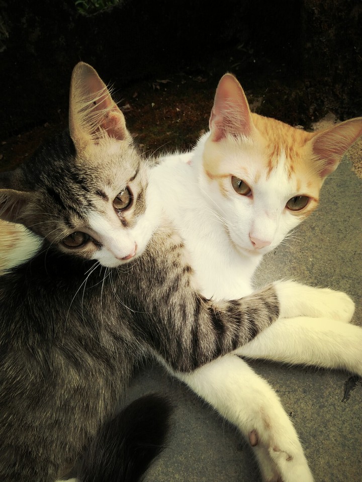 they love each other 