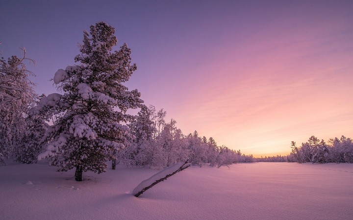 Snow