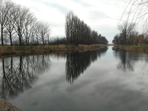 Beauty