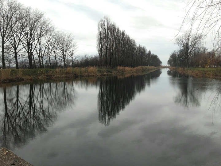 Beauty