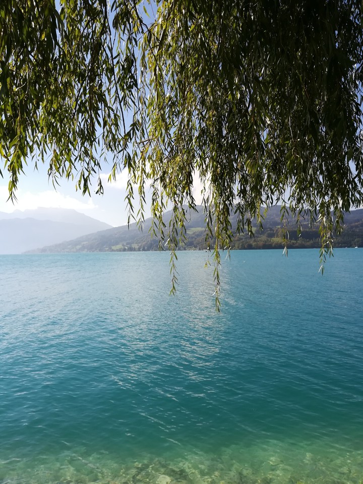 see