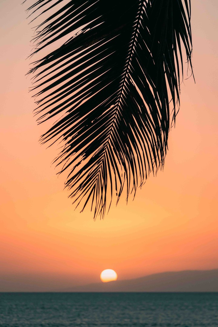 sunset