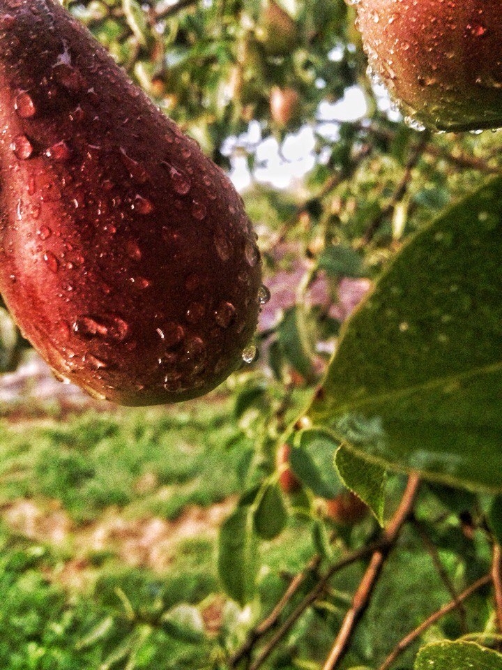 ... Ву