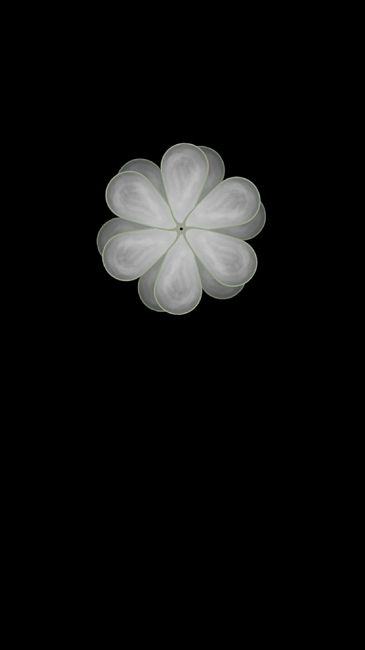 Artistic flowers 253