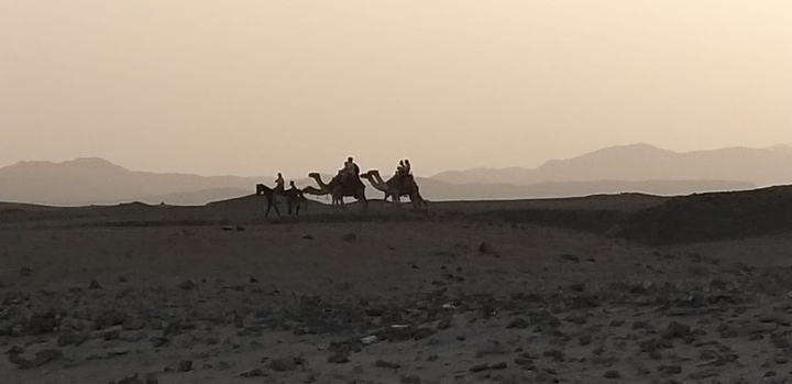 Egyptian skyline