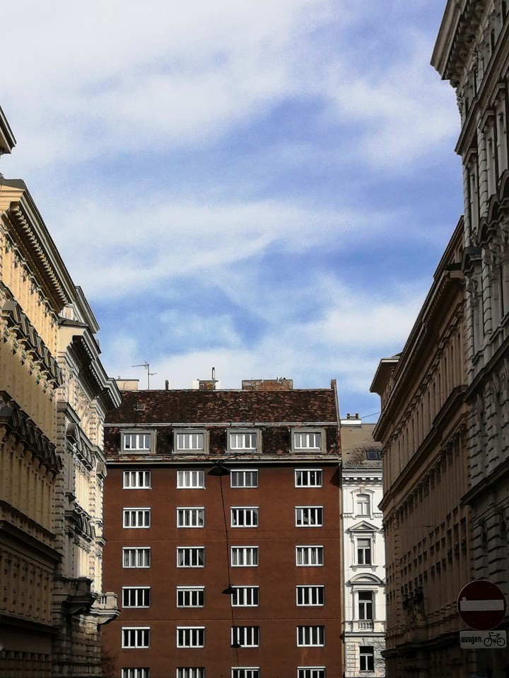 brown building