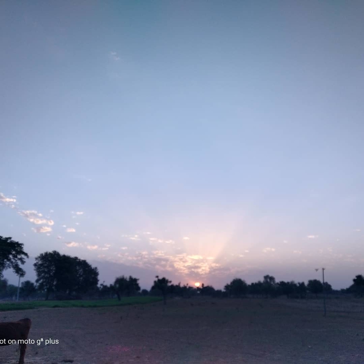 sunrise