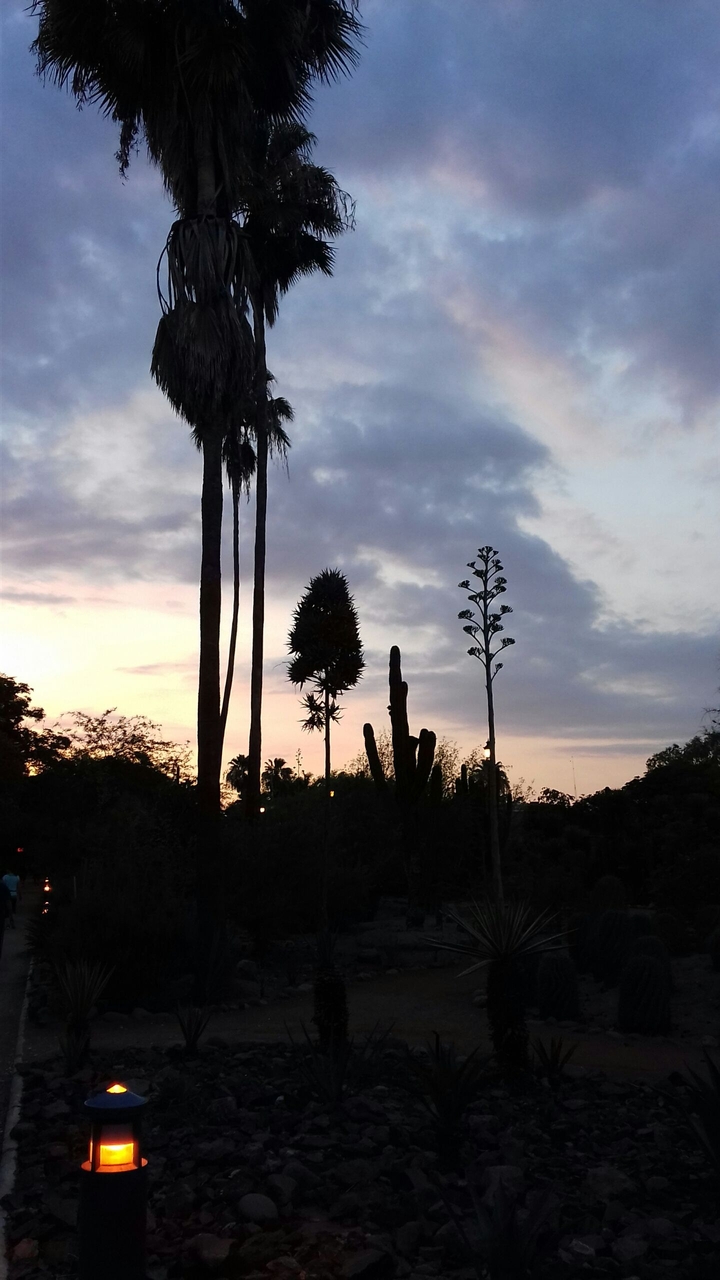 Sunset contrast