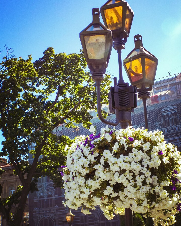 Lviv
