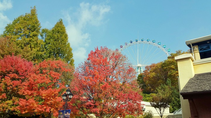 저 멀리 보이는 관람차 (Ferris wheel)