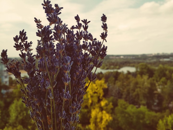 Nature