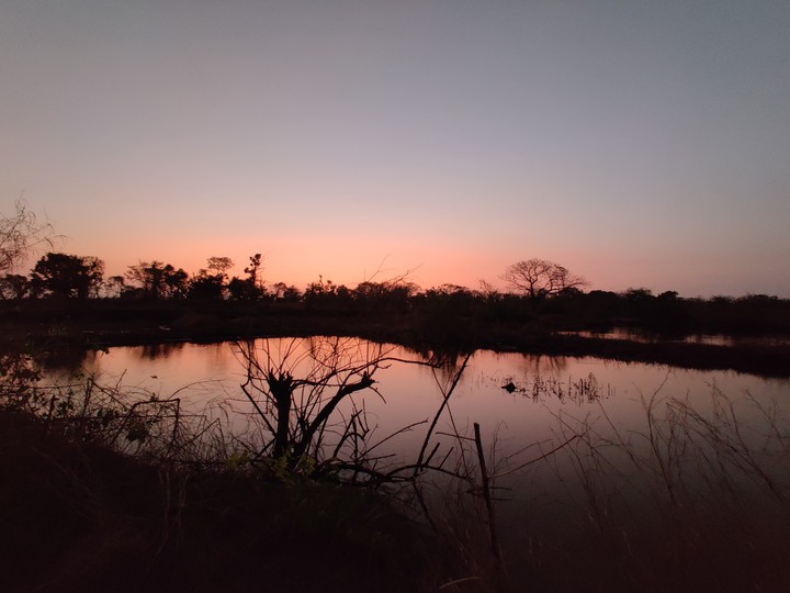 pink sky