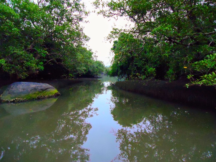 way from water