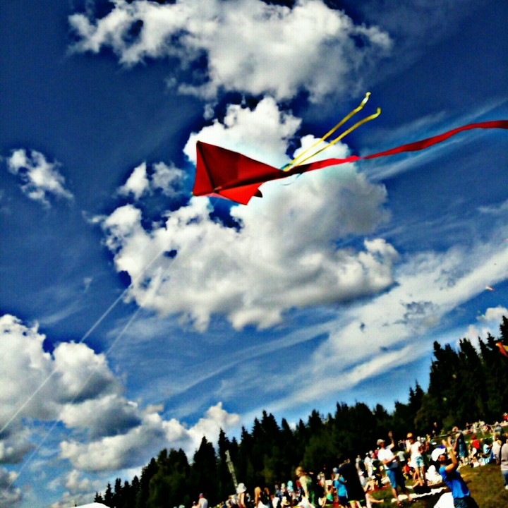 kite