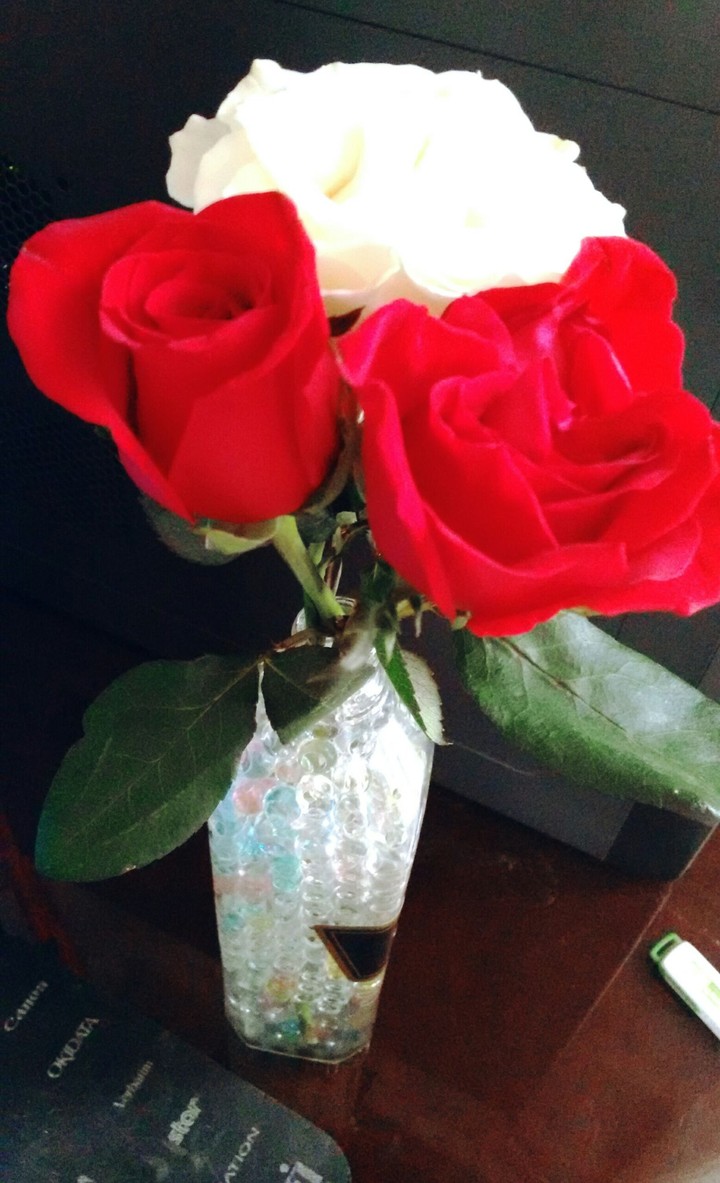 Cute Roses
