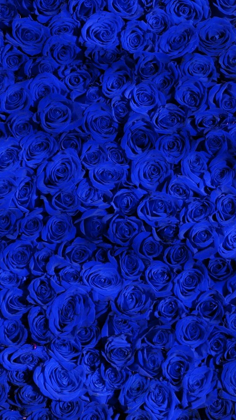 BLUE ROSES CARPET