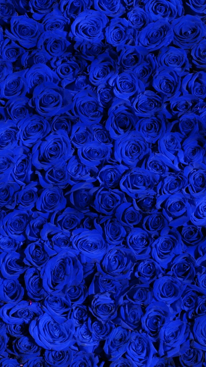 BLUE ROSES CARPET