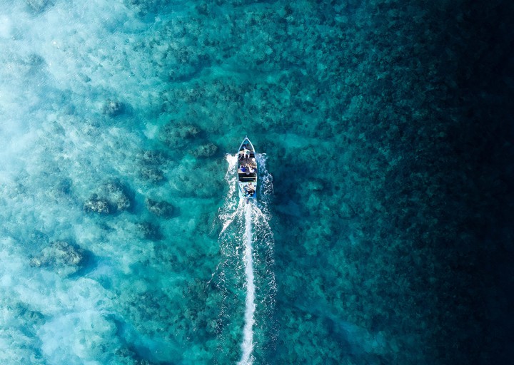 Water