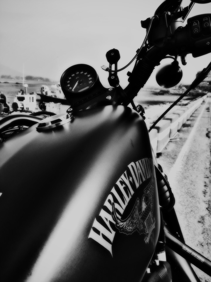 iron883