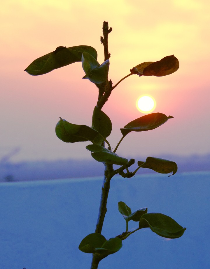 Beautiful Sunset