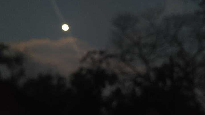 moon