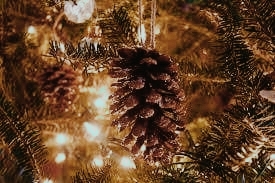 Xmas tree of my dream