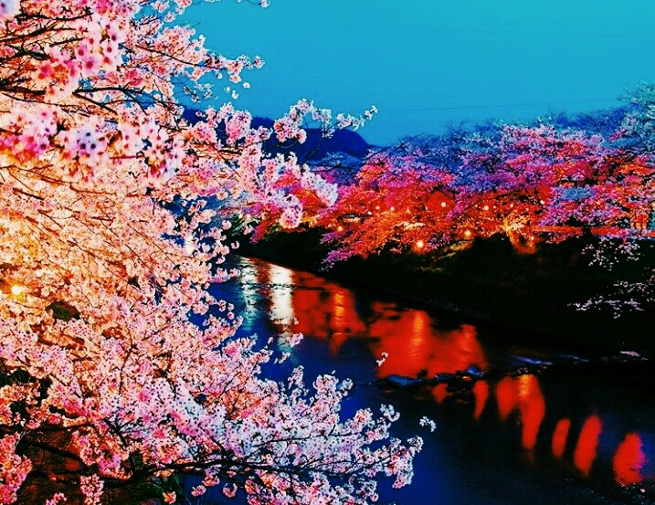 Beautiful Night
