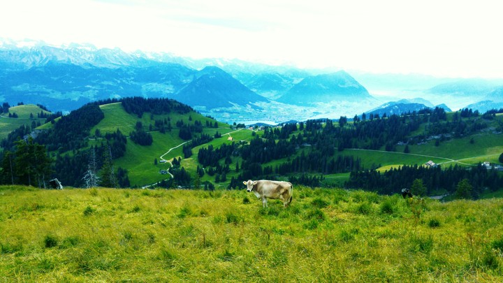 Schweizer Alm