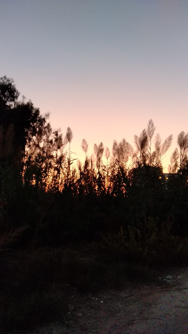 nature and sunset