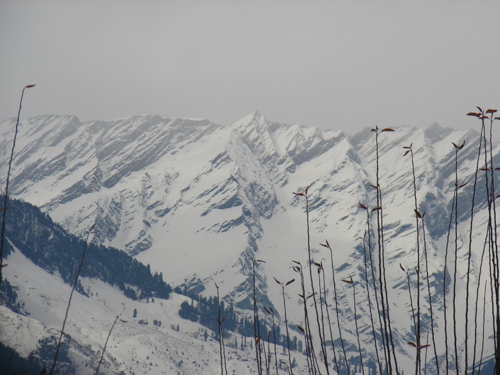 The_Himalayas!