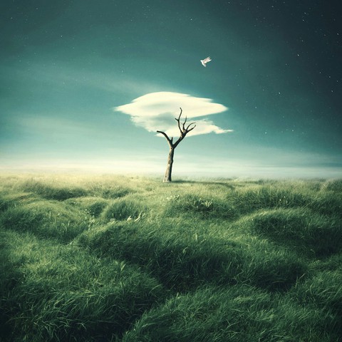 #Artwork