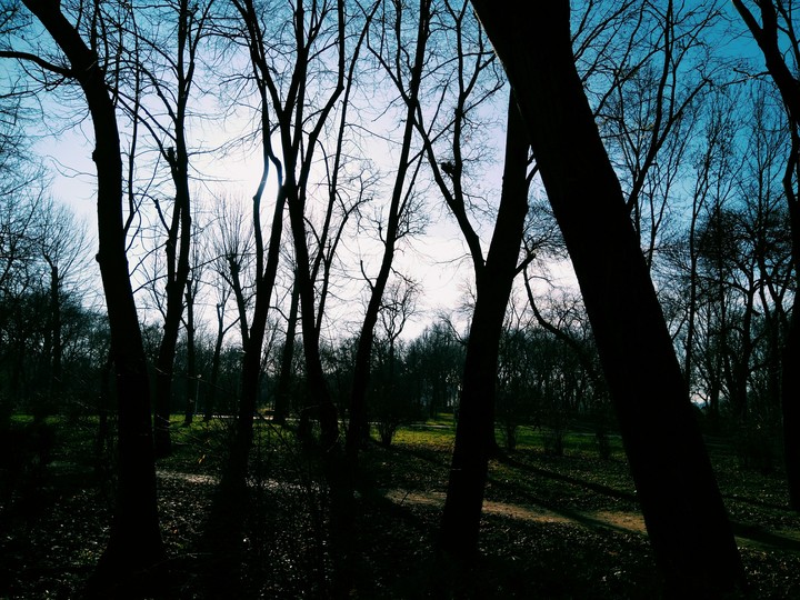 #nature #amazing