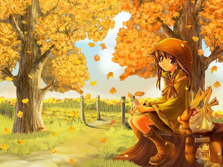 The beauty of autumn
