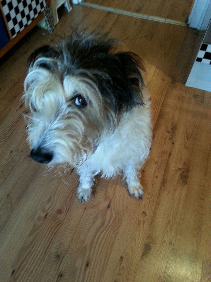 My best friend Eddi