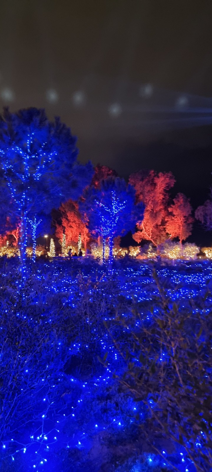 Lights