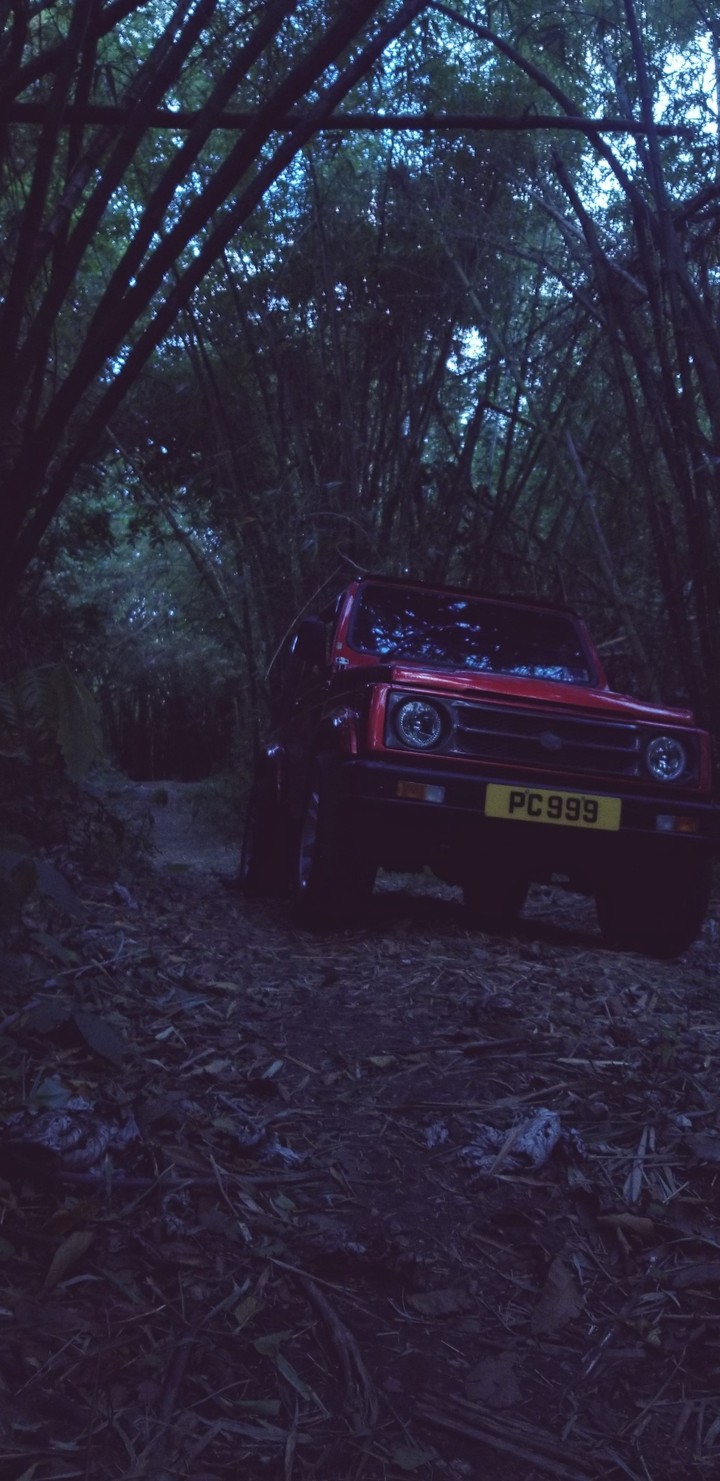 just in the forest with my samurai