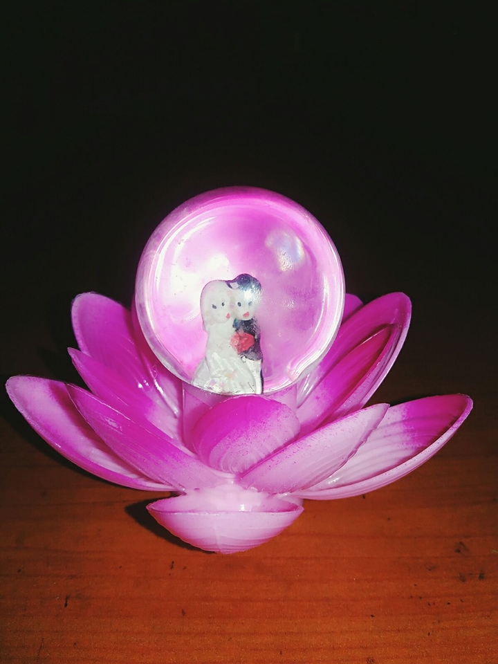 lotus love