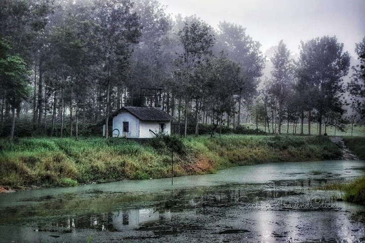 Nature Scenery