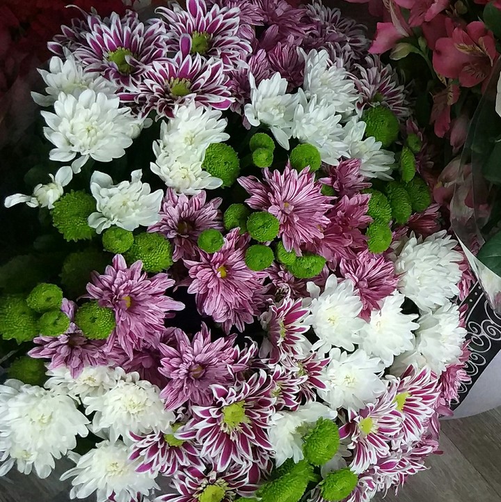 цветы