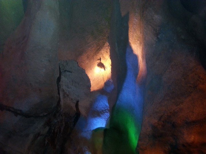 A Duck Underground.  What???